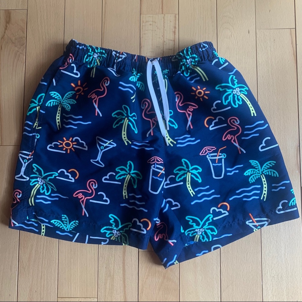 Chubbies Men’s Bathing Suit